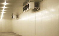 La passeggiata modulare nella stanza del congelatore monta la struttura con il pannello di spessore di 100mm